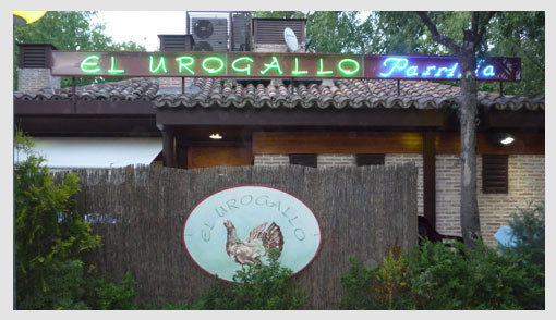 Bar El Urogallo (Latina)